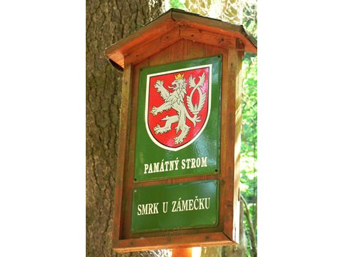 Foto 21